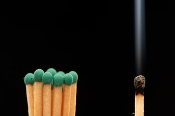 Group of green wooden matches standing with burnt smoked match