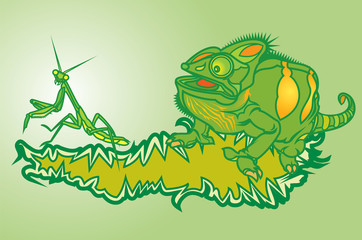 Green Chameleon and Praying Mantis