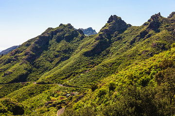 Green mountains or rocks valley