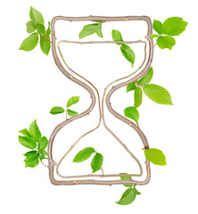 Plant Hourglass
