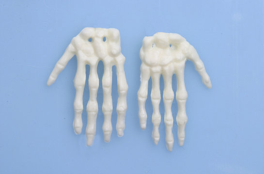 Der menschliche K&ouml;rper - Handknochen