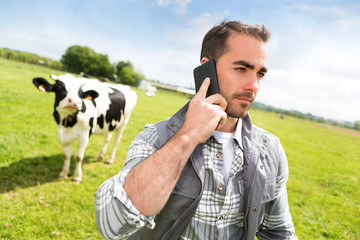 Young attractive farmer in a pasture with cows using mobile