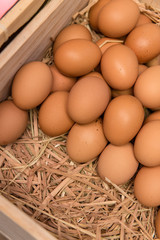 Eggs