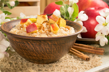 Oatmeal with apple and cinnamon in the bowl and cinnamon sticks