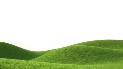 Deurstickers green grass field  © Roman King