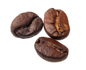 coffee beans on a white background