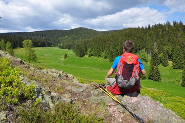 Lichtung im Thüringer Wald mit Wanderer