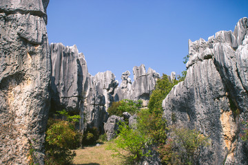 Stone Forest in Kunming City,China