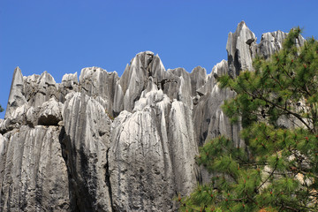 Stone Forest in Kunming City,China