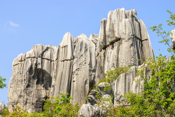 Stone Forest in Kunming City,China