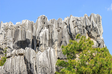 Stone Forest in Kunming City,China