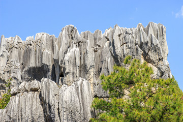 Fototapeta na wymiar Stone Forest in Kunming City,China