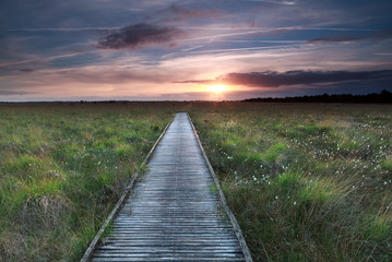 wooden path on marsh and sunset