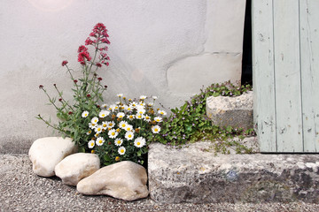 kleine bepflanzung am hauseingang