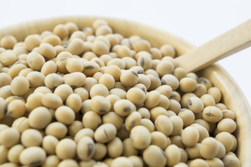 soy soybean closeup vegetable nutrition soya concept