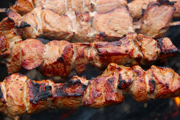 The shish kebab on skewers