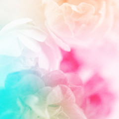 vintage color flowers in soft and blur style on mulberry paper texture
