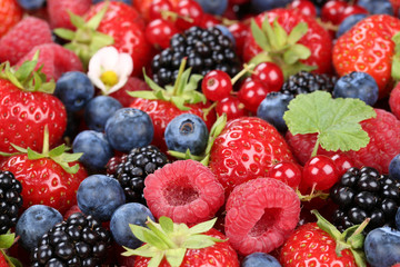 Fototapeta na wymiar Beeren Früchte Mix mit Erdbeeren, Himbeeren und Kirschen