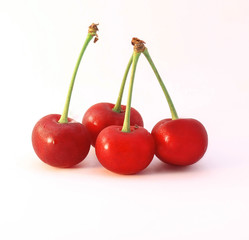 вишня на белом фоне