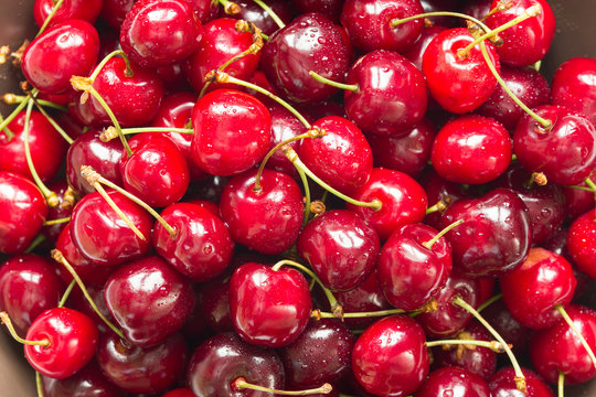 Red sweet cherries with water drops (close up)