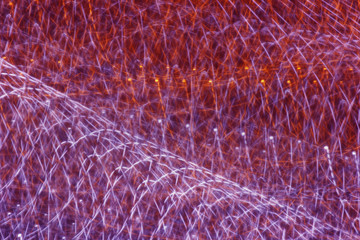 abstract colorful lines freezelight background