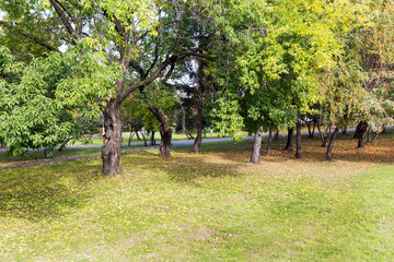 Autumn city park