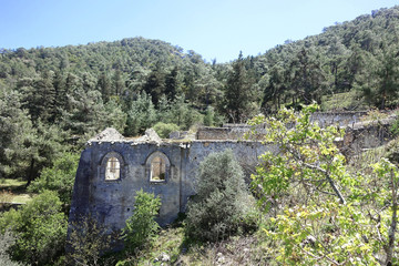 Fototapeta na wymiar Kloster im Alevkaya Wald - Nord-Zypern