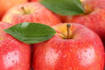 Rote Äpfel Früchte mit Blatt