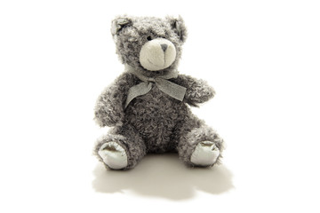 Teddy bear isolated on white