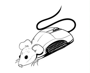 mouse