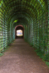 Obraz premium Schlossgarten in Schwezingen