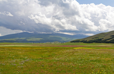 Summer in the mountains of Armenia