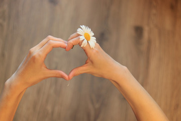 guesses on camomile for love