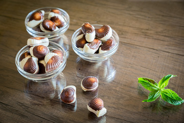 Seashells chocolates