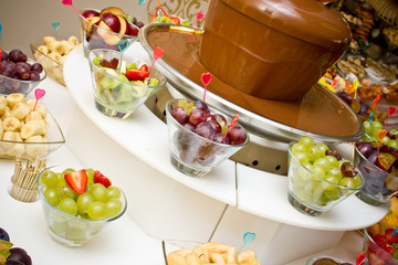 Chocolate fountain with fruits all around.