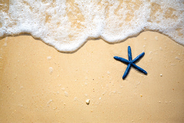 Naklejka premium Blue starfish on the sandy coast