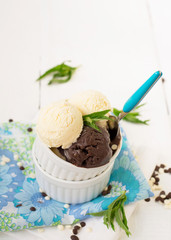 Vanilla and chocolate ice cream on a white background