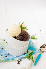 Vanilla and chocolate ice cream on a white background