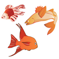 Naklejka premium Beautiful multicolored iridescent emotional fish