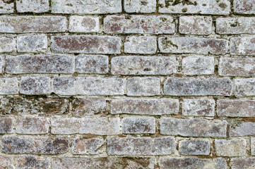 Texture old mossy gray brick wall