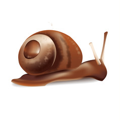 Fototapeta premium Snail vector illustration