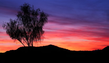 Sunset in Desert Arizona, USA