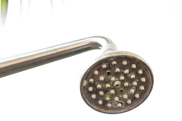 Photograph of a shower head