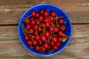 Freshly Picked Organic Cherries