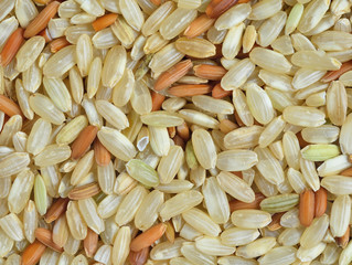 rice grain for background