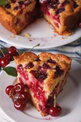 piece of homemade cherry pie on a plate closeup, vertical
