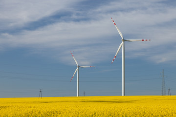 Wind turbines on the rape meadow (Poland)