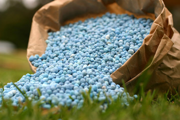 Blue fertiliser in brown bag on green grass - obrazy, fototapety, plakaty