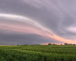 Fototapeta premium Storm clouds darken the sky over a field of rhye