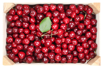 Kirschen Früchte in Holzkiste